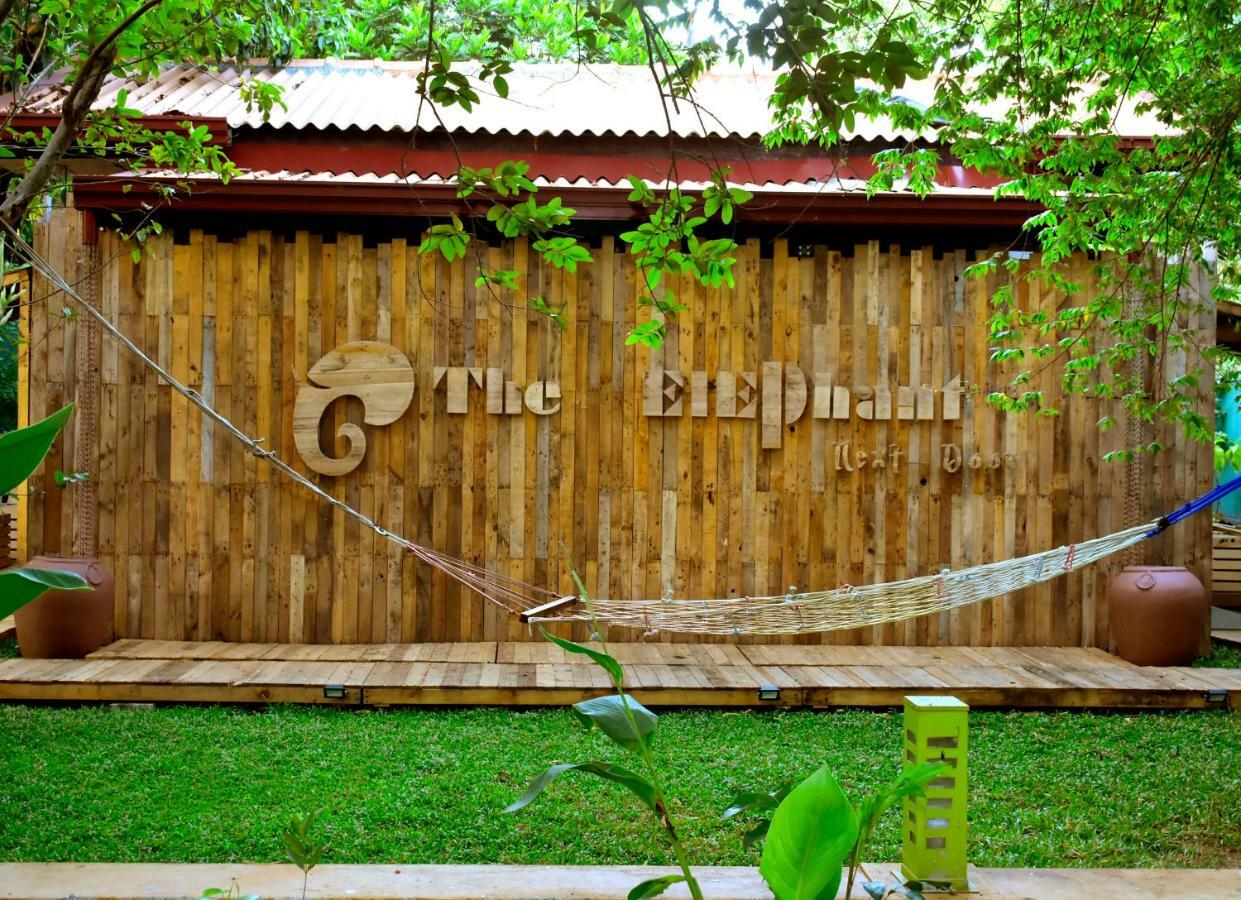 The Elephant Next-Door Uda Walawe Extérieur photo