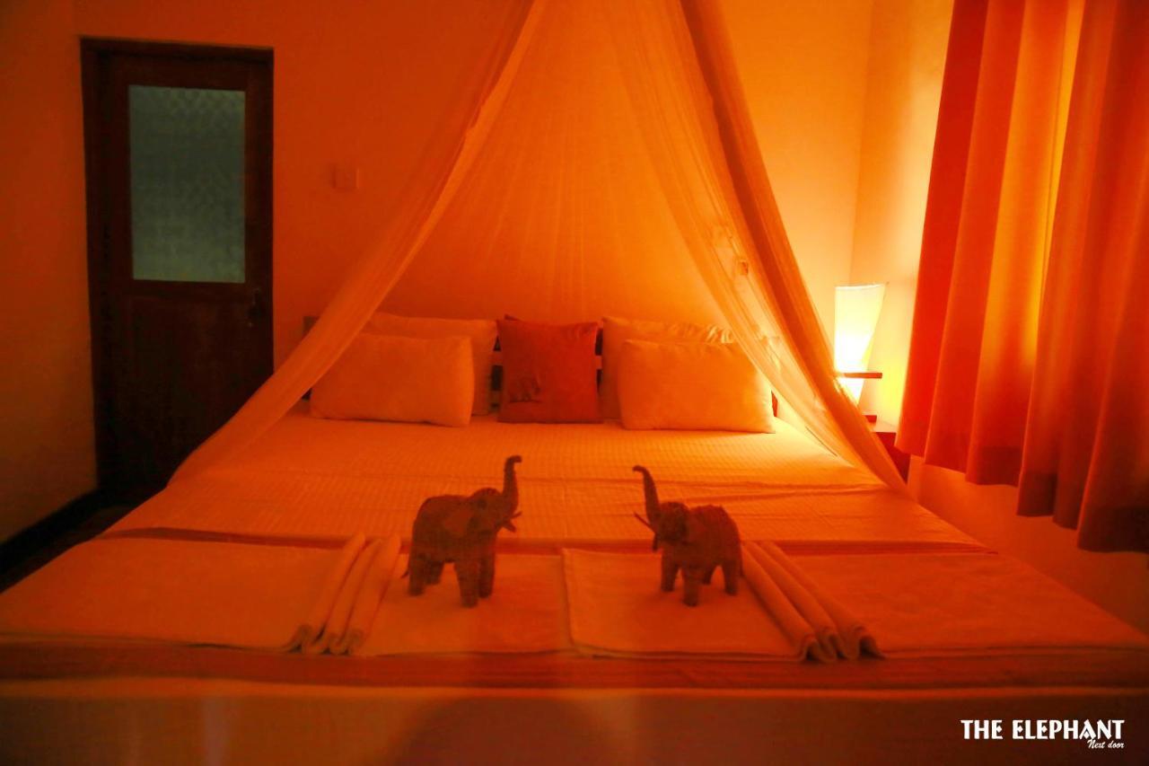The Elephant Next-Door Uda Walawe Extérieur photo